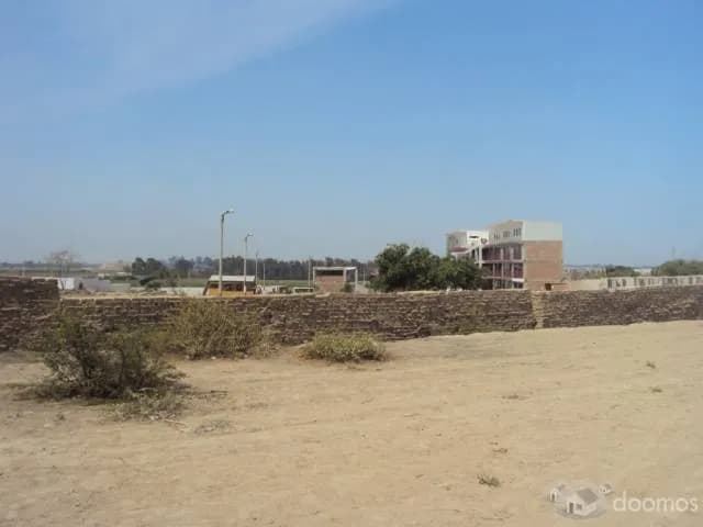 TERRENO URBANO EN CHINCHA — foto 3