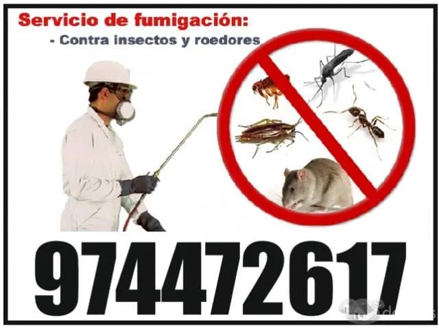 Servicio de Fumigacion de casas en Trujillo 974472617 — foto 1