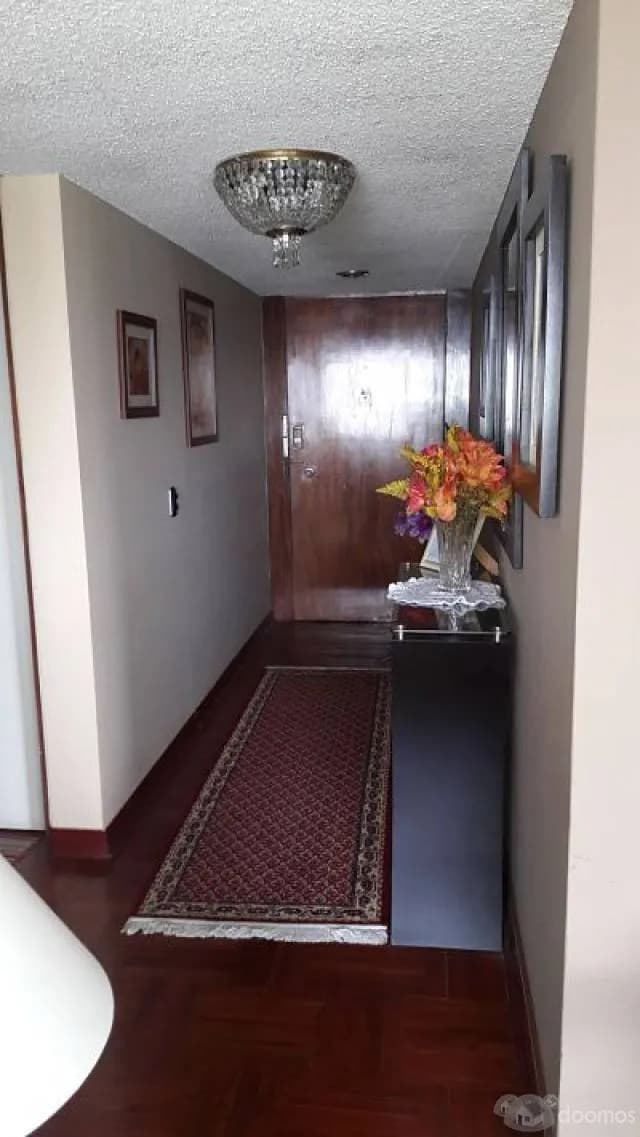 VENDO DEPARTAMENTO BIEN UBICADO EN MIRAFLORES — foto 4