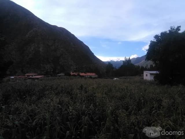 terreno de cultivo y para casa de campo — foto 5