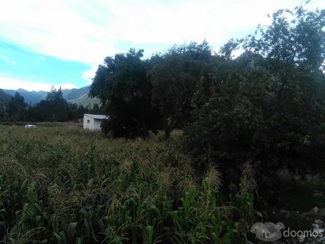 terreno de cultivo y para casa de campo — foto 6