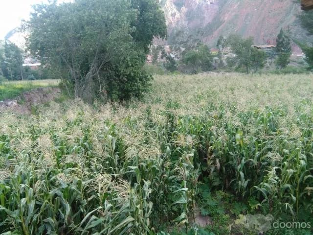 terreno de cultivo y para casa de campo — foto 7