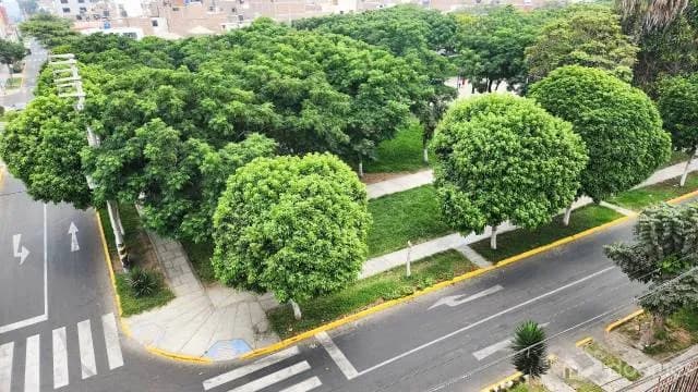 Frente a Parque Cuzco, Venta de Departamento 03 Habitaciones — foto 2