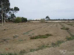 VENDO LOTE CERCA AL BOULEVARD DE ASIA