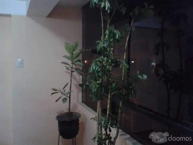 Se Alquilan Habitaciones  con baño privado — foto 3