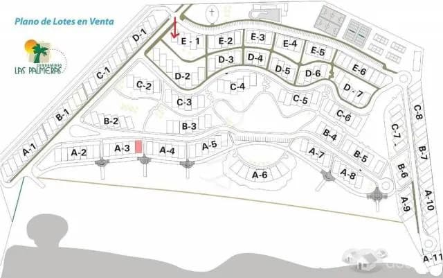 ccondominio Club de Playa Las Palmeras — foto 5