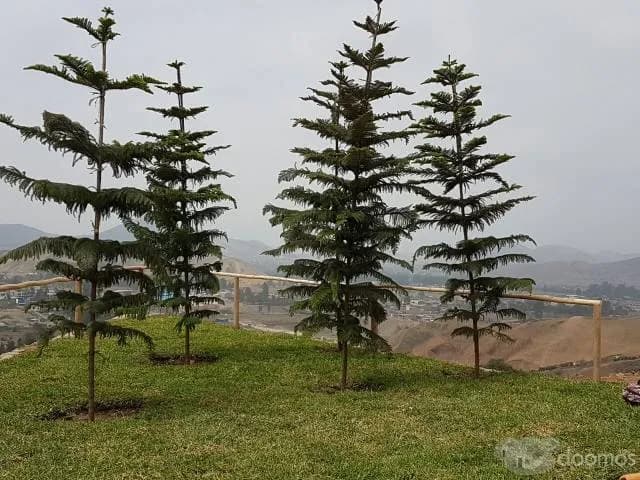 CONDOMINIO EXCLUSIVO PARA CASAS DE CAMPO — foto 3