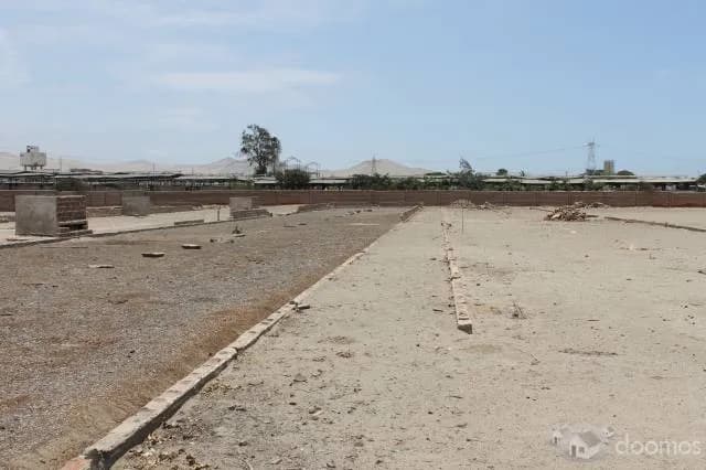 OCASION ALQUILO / VENDO TERRENO DE 10000 MT2 EN CHILCA — foto 4