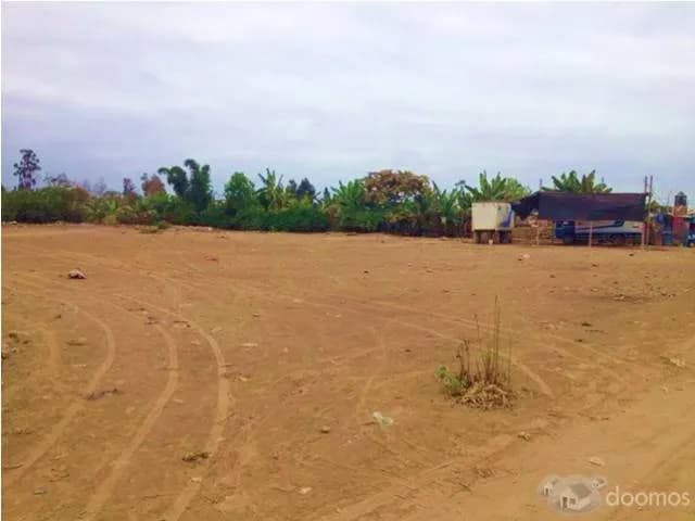 Terreno Chincha Sunampe 5400m² Excelente Inversión — foto 1