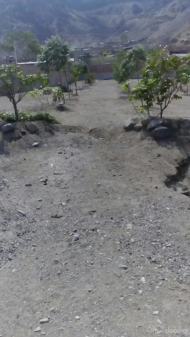 OCASIÓN Venta de Terreno comercial 7,000.00 m2 PACHACAMAC — foto 5