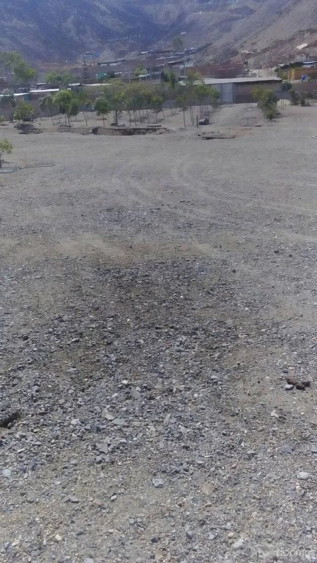 OCASIÓN Venta de Terreno comercial 7,000.00 m2 PACHACAMAC — foto 6