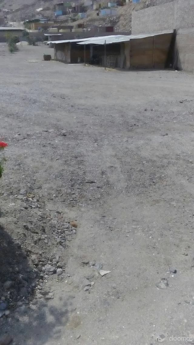 OCASIÓN Venta de Terreno comercial 7,000.00 m2 PACHACAMAC — foto 7