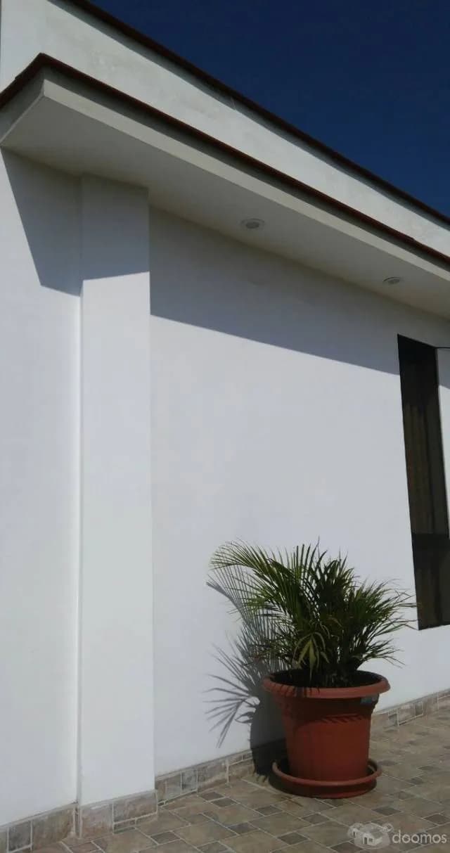 OFICINA BONITA CON TERRAZA EN ALQUILER — foto 2