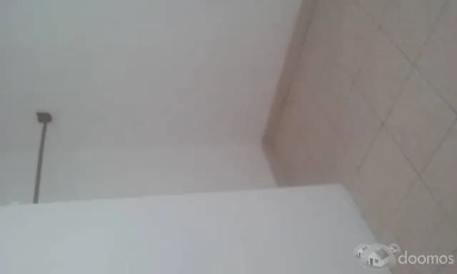 Alquiler de Minidepartamento en Los Olivos — foto 4