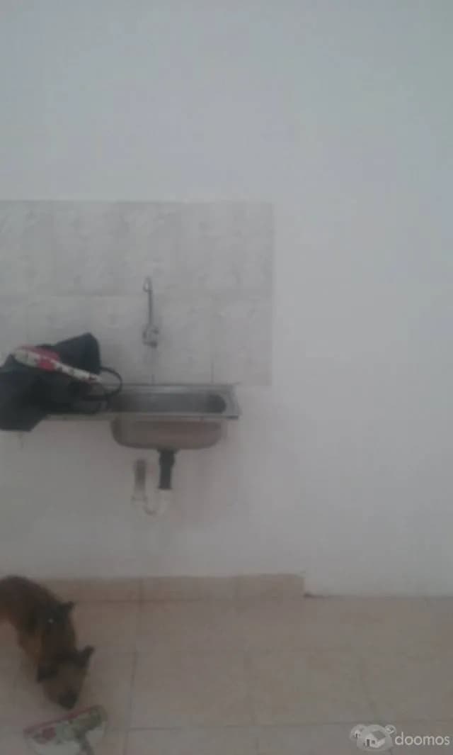 Alquiler de Minidepartamento en Los Olivos — foto 2