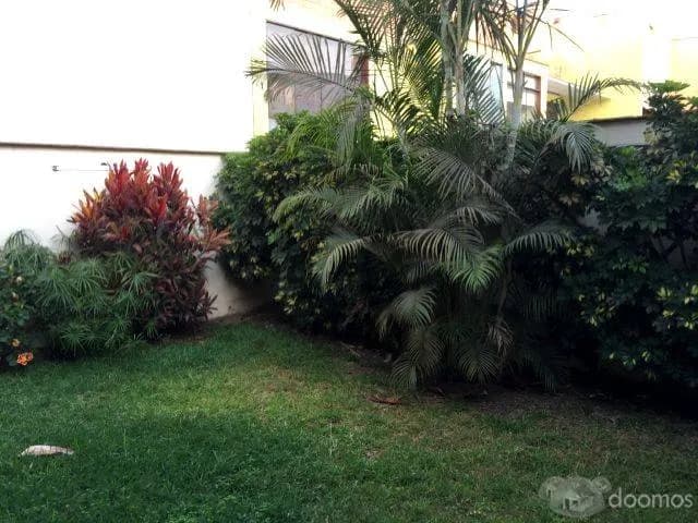 Alquilo oficina multiusos en San Borja, x el pentagonito. — foto 9