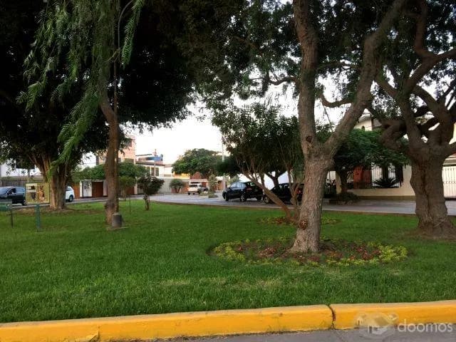 Alquilo oficina multiusos en San Borja, x el pentagonito. — foto 12