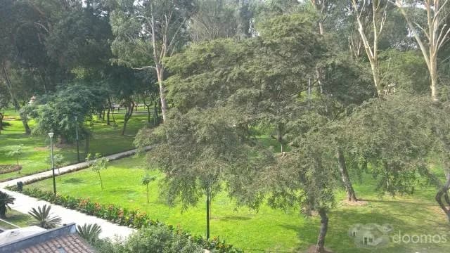 Departamento de 260 m2 con fabulosa vista a parque — foto 1
