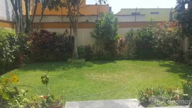 Casa en San Borja — foto 2