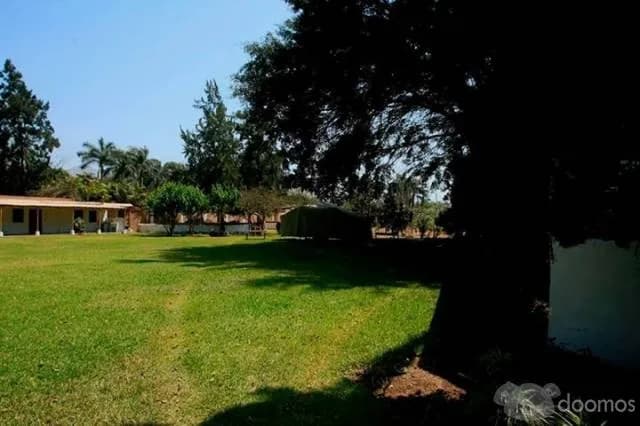 SE ALQUILA CASA DE CAMPO EN CIENEGUILLA — foto 5