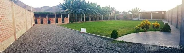 TERRENO PARA CASA DE CAMPO EN PACHACAMAC — foto 4