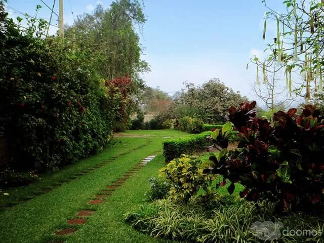 Alquilo Local para Eventos al Aire Libre — foto 2