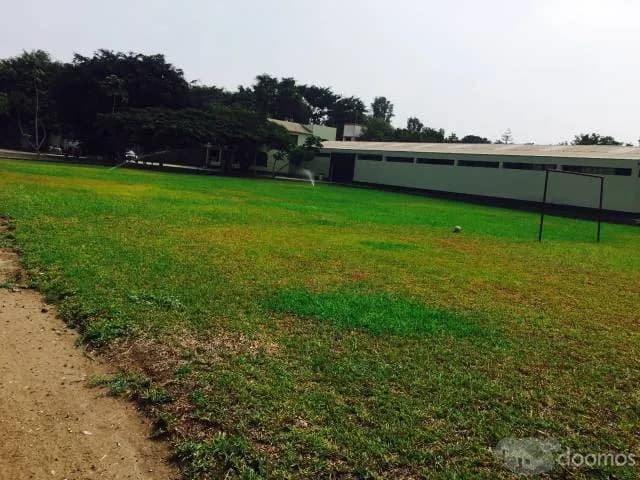 ALQUILO LOCAL EN LURIN — foto 3