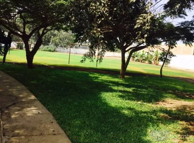 ALQUILO LOCAL EN LURIN — foto 6