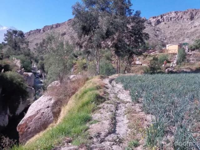 OCASIÓN VENDO TERRENO VALLE DE CHILINA 66000 dólares — foto 3