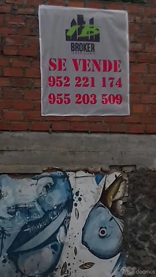 VENDO LOCAL COMERCIAL 600M2 30X20 UBICADISIMO — foto 5