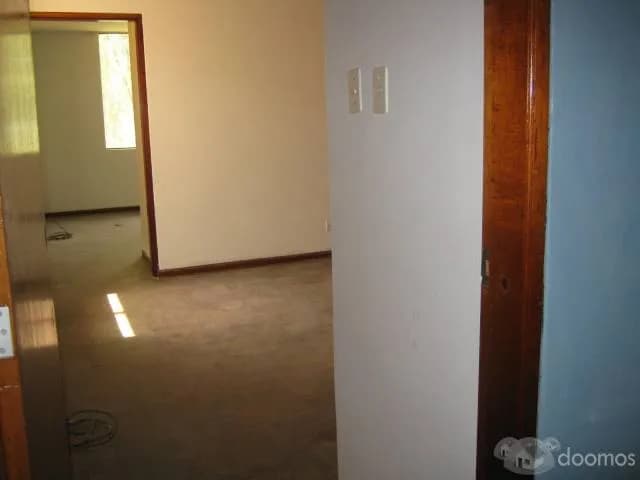 AMPLIO LOCAL COMERCIAL EN LA MOLINA — foto 3