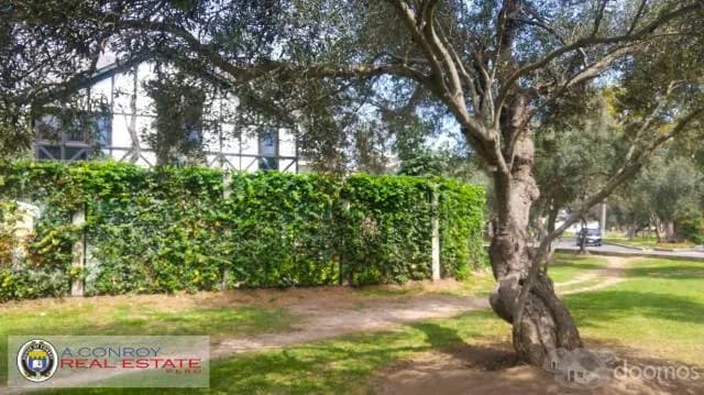 CASA ANTIGUA AÑOS 40 EN EL OLIVAR - SAN ISIDRO — foto 5