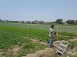 TERRENO - LOTE EN VENTA