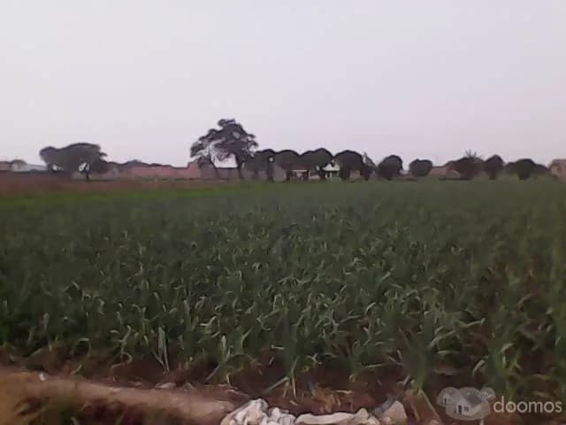 TERRENO - LOTE EN VENTA — foto 4