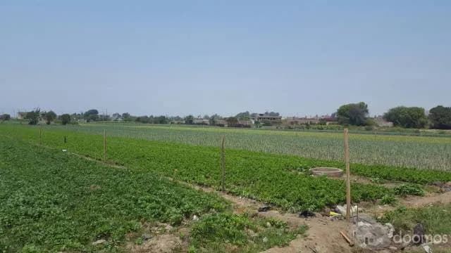 TERRENO - LOTE EN VENTA — foto 8