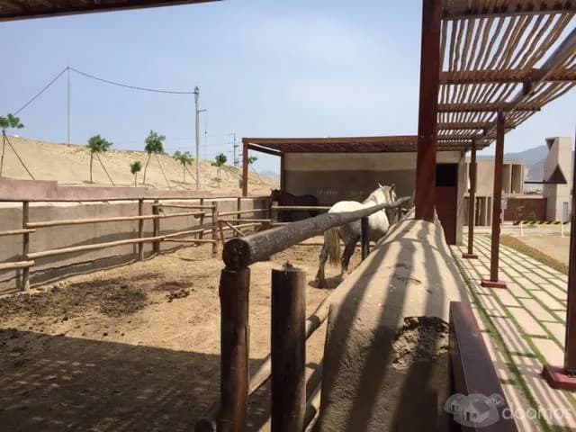 VENTA DE TERRENO FUNDO LA PRADERA ASIA — foto 3