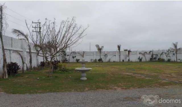 Alquiler Local comercial Chorrillos S/ 47,000 — foto 8