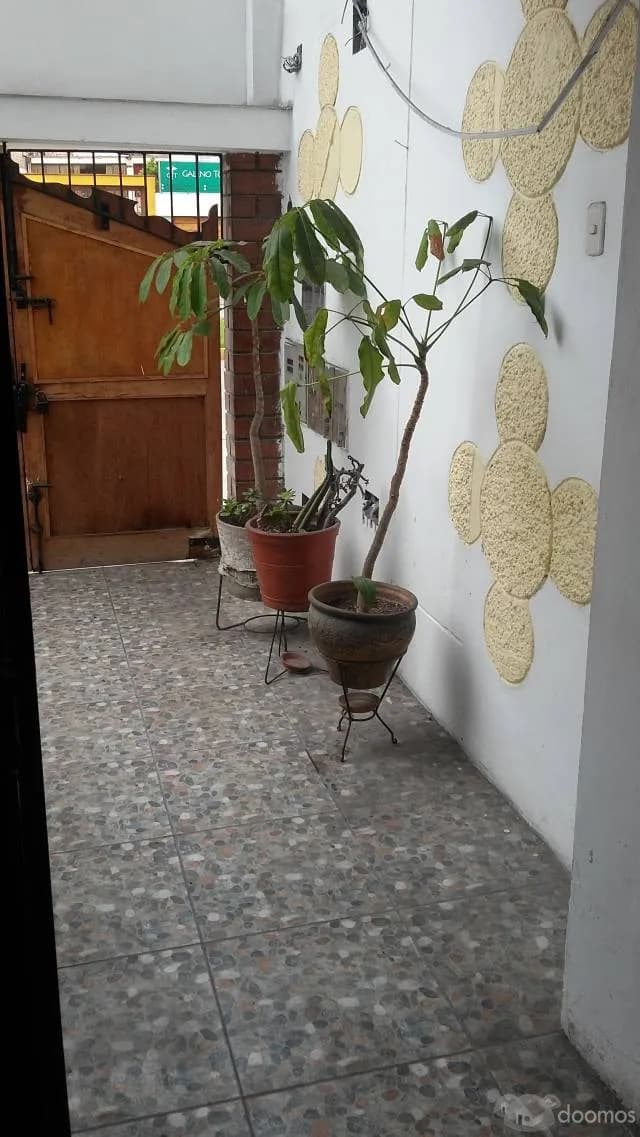 Remato  Local Comercial - Av. Universitaria San Miguel — foto 3