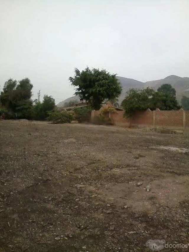 TERRENO EN VENTA JATOSISA 2260.96 mt PACHACAMAC — foto 4