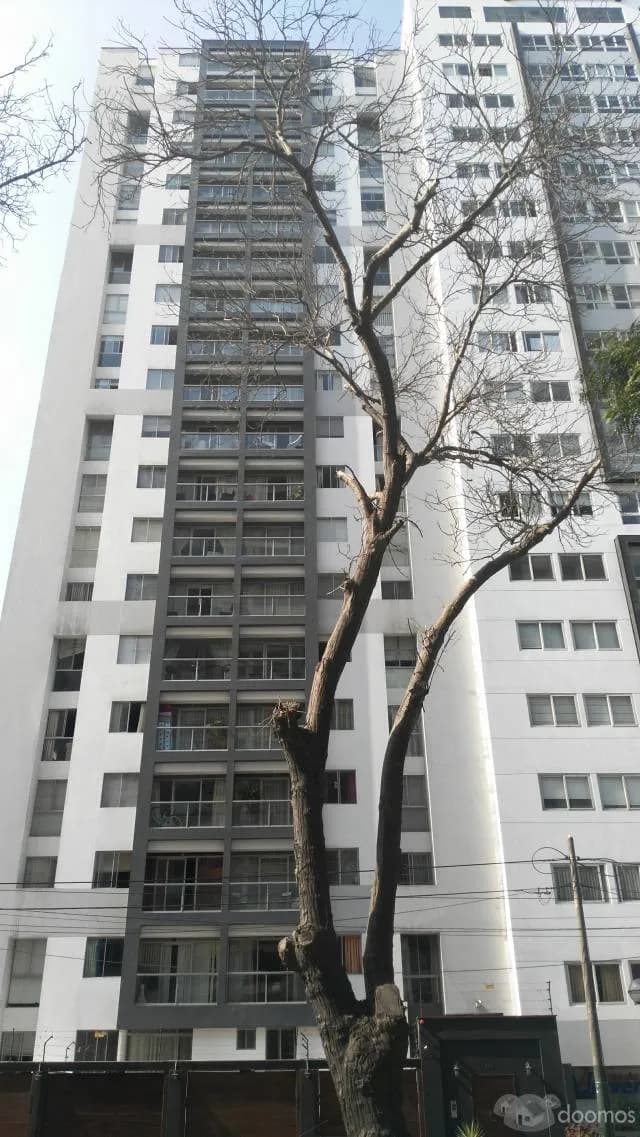 DEPARTAMENTO EN ALQUILER JESUS MARIA — foto 3
