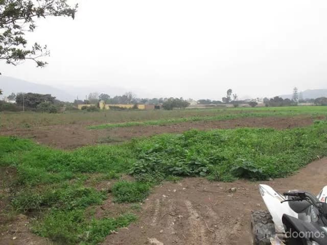 Vendo 10 lotes de 1000 m2 en Pachacamac — foto 2