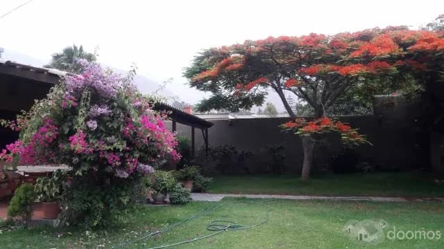 casa de campo alquilo por temporada larga — foto 2