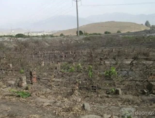 Se venden 2 terrenos en San Pedro de Carabayllo — foto 1
