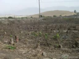 Se venden 2 terrenos en San Pedro de Carabayllo