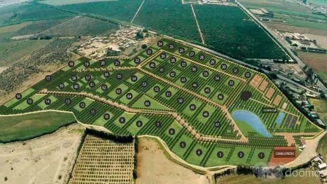 LOTES PARA CASA DE CAMPO & COUNTRY CLUB — foto 1