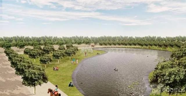 LOTES PARA CASA DE CAMPO & COUNTRY CLUB — foto 3