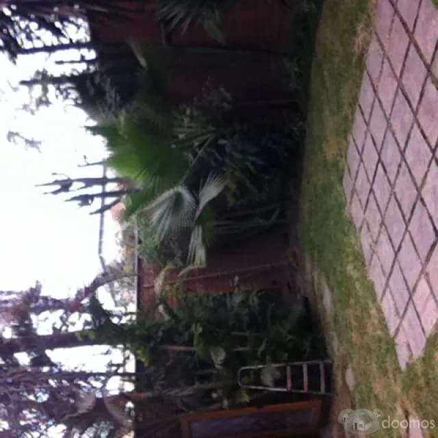 ¡VIVE EN LA MOLINA! — foto 7