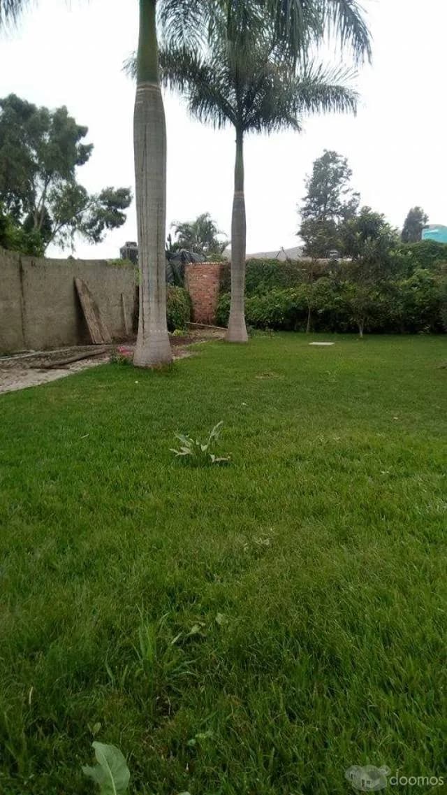 Lindo Terreno en el Condomio la Arena de pachacamac — foto 4