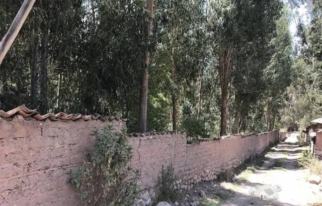 terreno de 1698 m2 todo o en partes a precio módico — foto 3