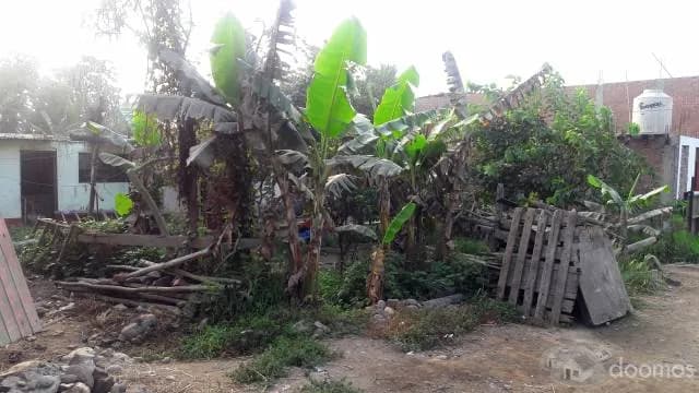 VENTA DE TERRENO EN CARAPONGO — foto 4